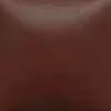 OS 481 Cinnamon