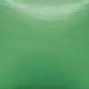 OS 555 New Leef