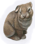 Kaninunge sitt, DM-1772