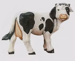 Stående ko S-2391
