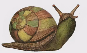Snigel S-3884