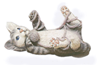 Katt på rygg S-2365