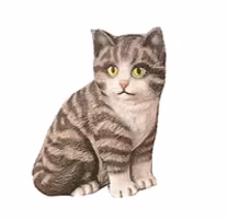 Katt sitter S-1122