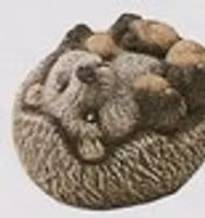 Liten igelkottunge på rygg G-3040r