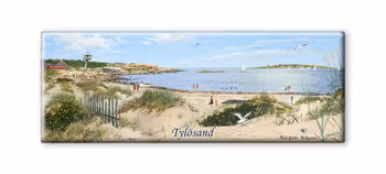 Magnet Halmstad Tylösand