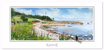 Vykort Kattvik