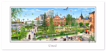 Vykort Umeå