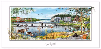 Vykort Lycksele