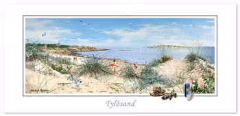 Vykort Halmstad Tylösand