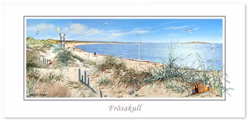 Vykort Halmstad Frösakull