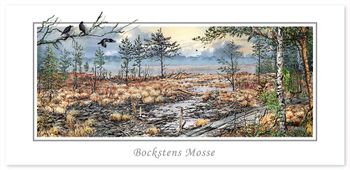 Vykort Varberg Bockstens mosse