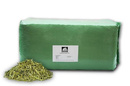 Lucerne Faser Pur