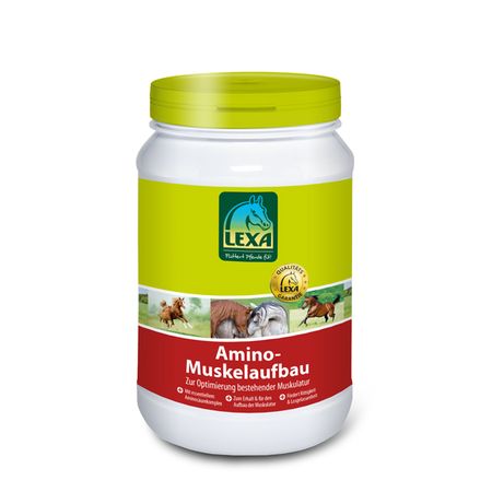 Amino Muskelbygging