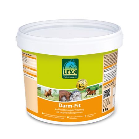 Darm Fit