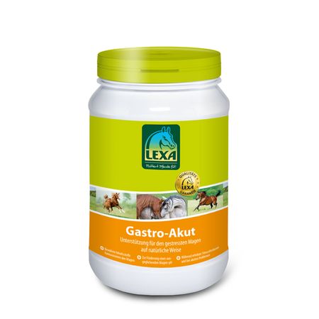 Gastro Akutt