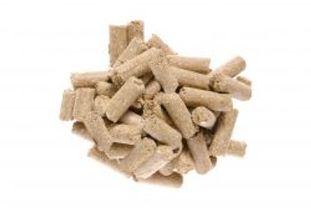Eukalyptus