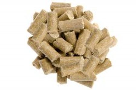 Oregano