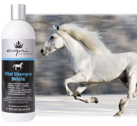 equiXTREME Vital Shampoo White
