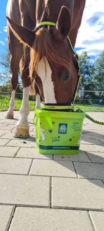LEXA® bildebøtte med lokk