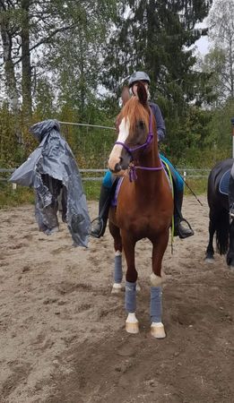 Innridning