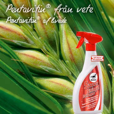Leovet 5-Star Detangler