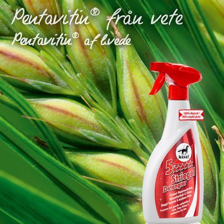 Leovet 5-Star Detangler