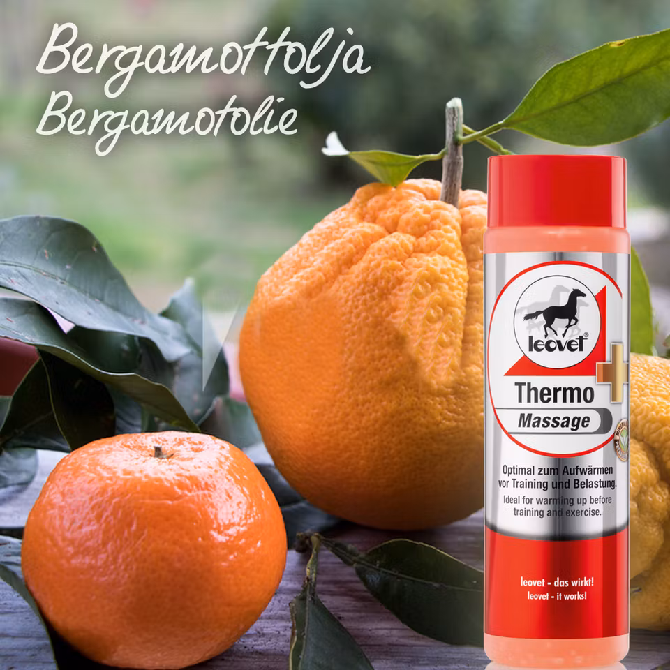 Leovet Thermo Massage