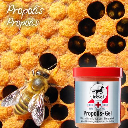 Leovet First Aid Propolis gel