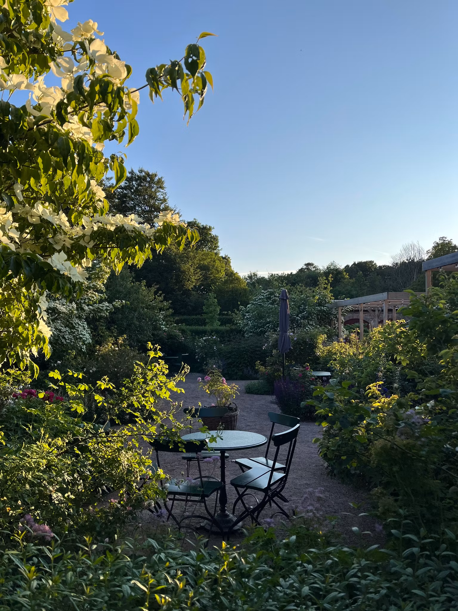 TEvent: Tea, Tapas & Skön Musik 25 september