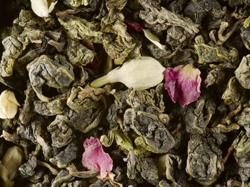 Oolong te- Missed you Soolong