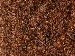 Ekologisk Rooibos - icke smaksatt