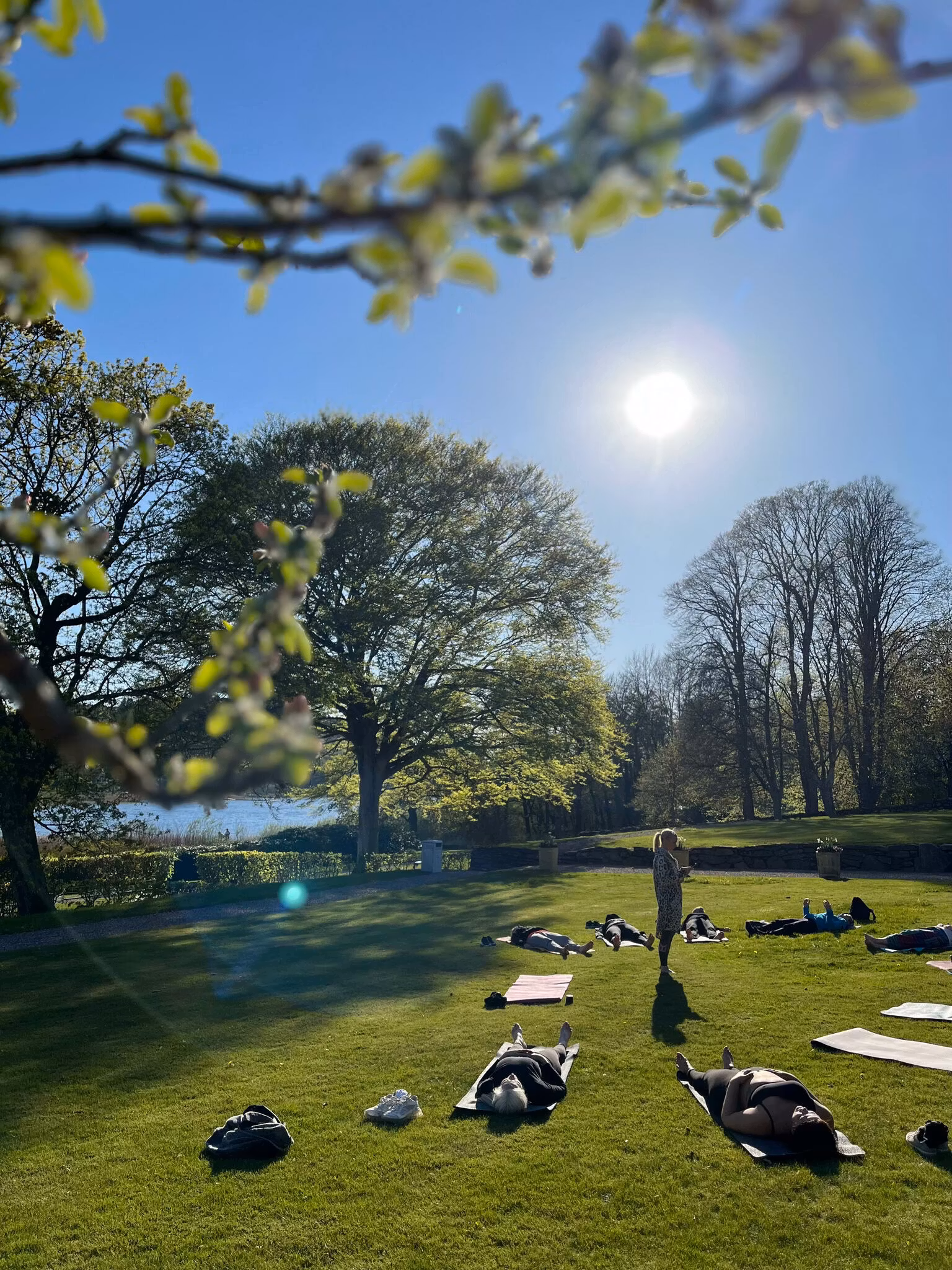 TEvent: Yoga & Testund 29 maj