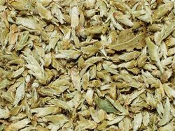 Vitt te - Ekologiskt Yunnan Silver Bud Ya Bao