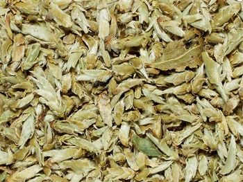 Vitt te - Ekologiskt Yunnan Silver Bud Ya Bao
