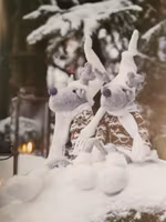 Vinter ren/älg sittande