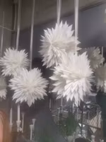 Spiky star Adventsstjärna
