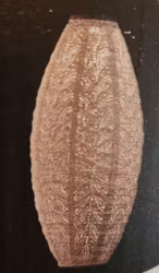 Lång oval 20 cm