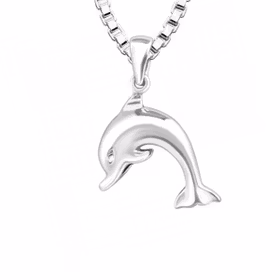 Halsband till pojke med Delfin - barnhalsband i äkta silver