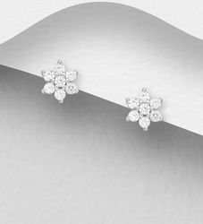 Silverörhängen - små blommor av glittrande cubic stenar