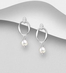 Silverörhängen eleganta hängande örhängen med pärlor