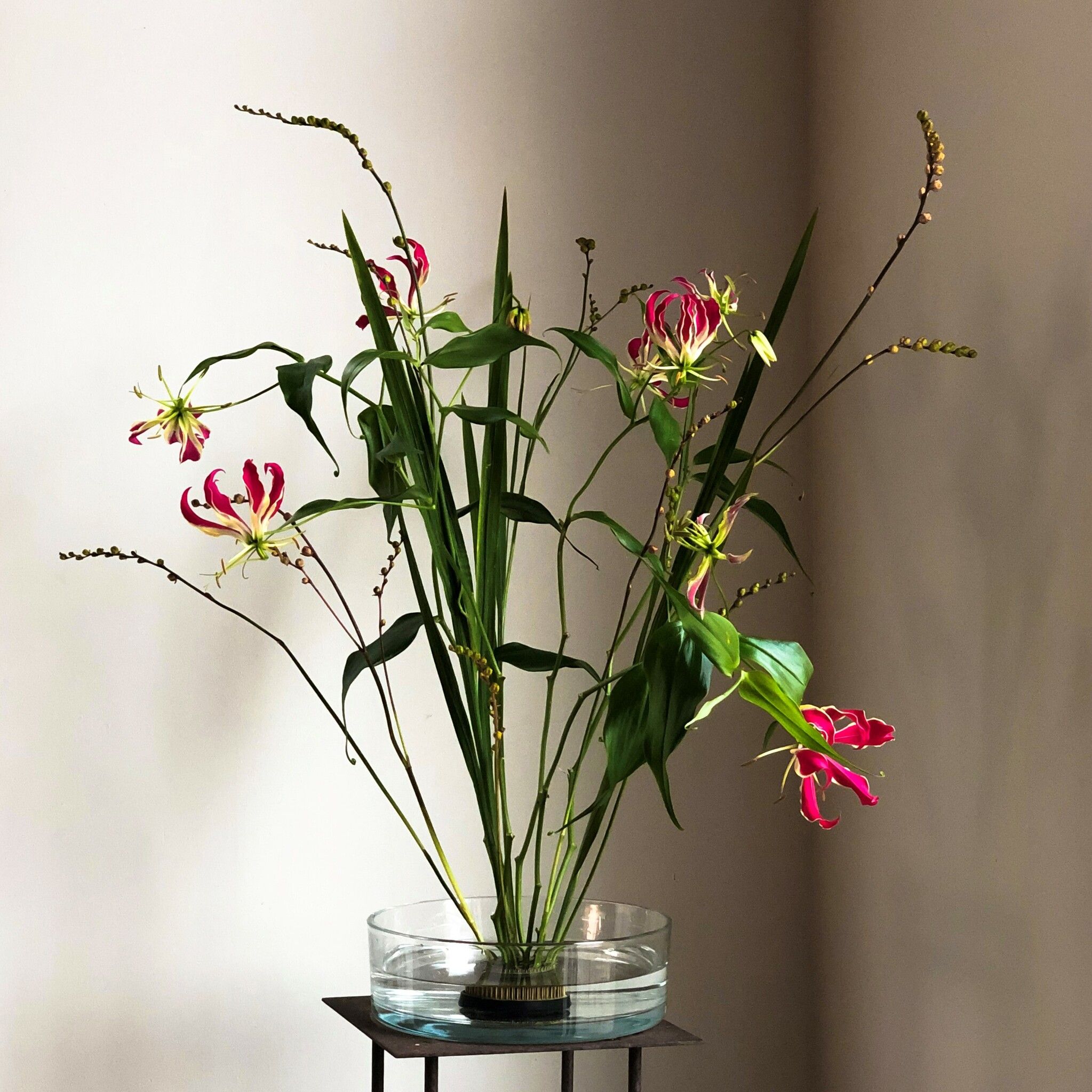 Blomsterfakir 70 mm
