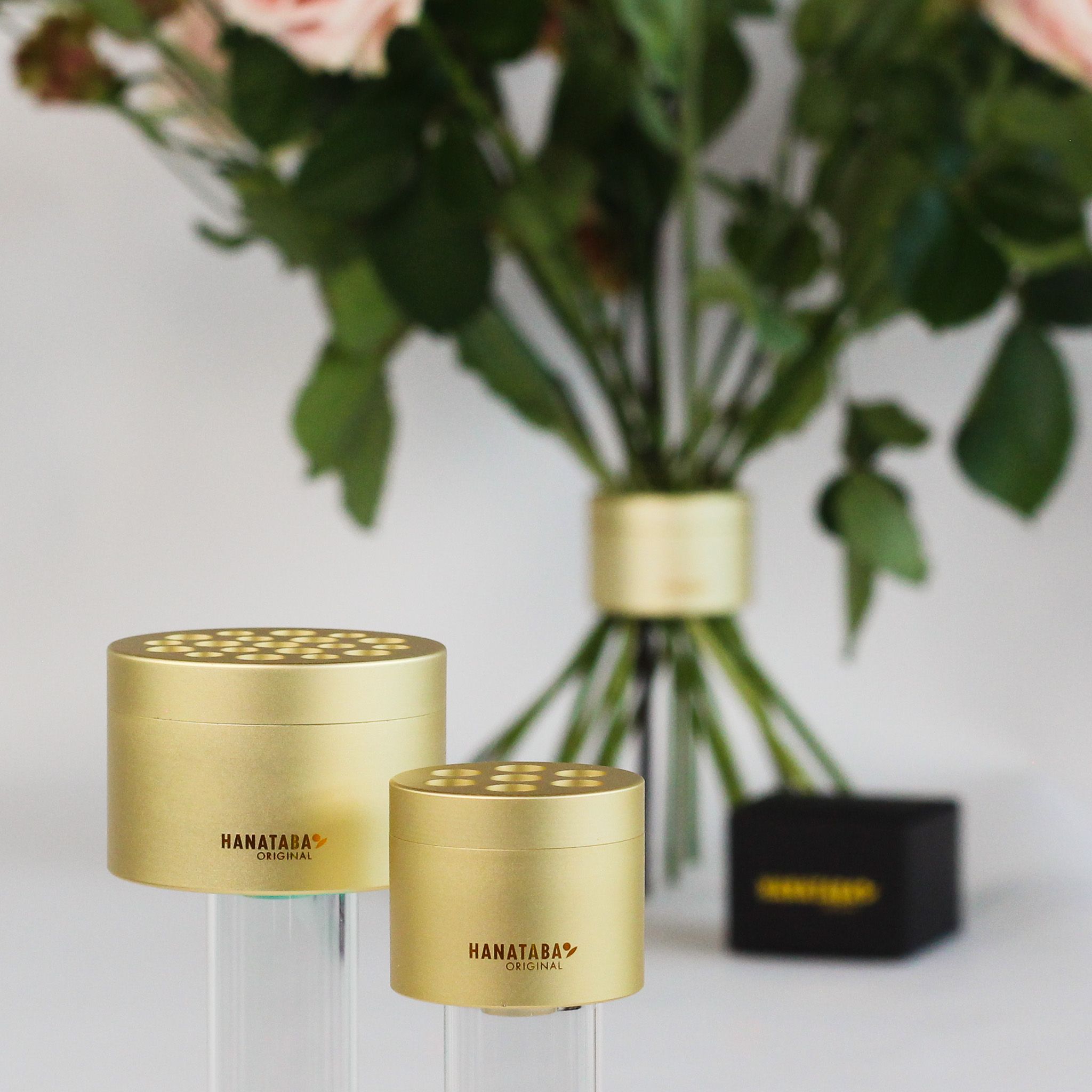 Hanataba Champagne Gold