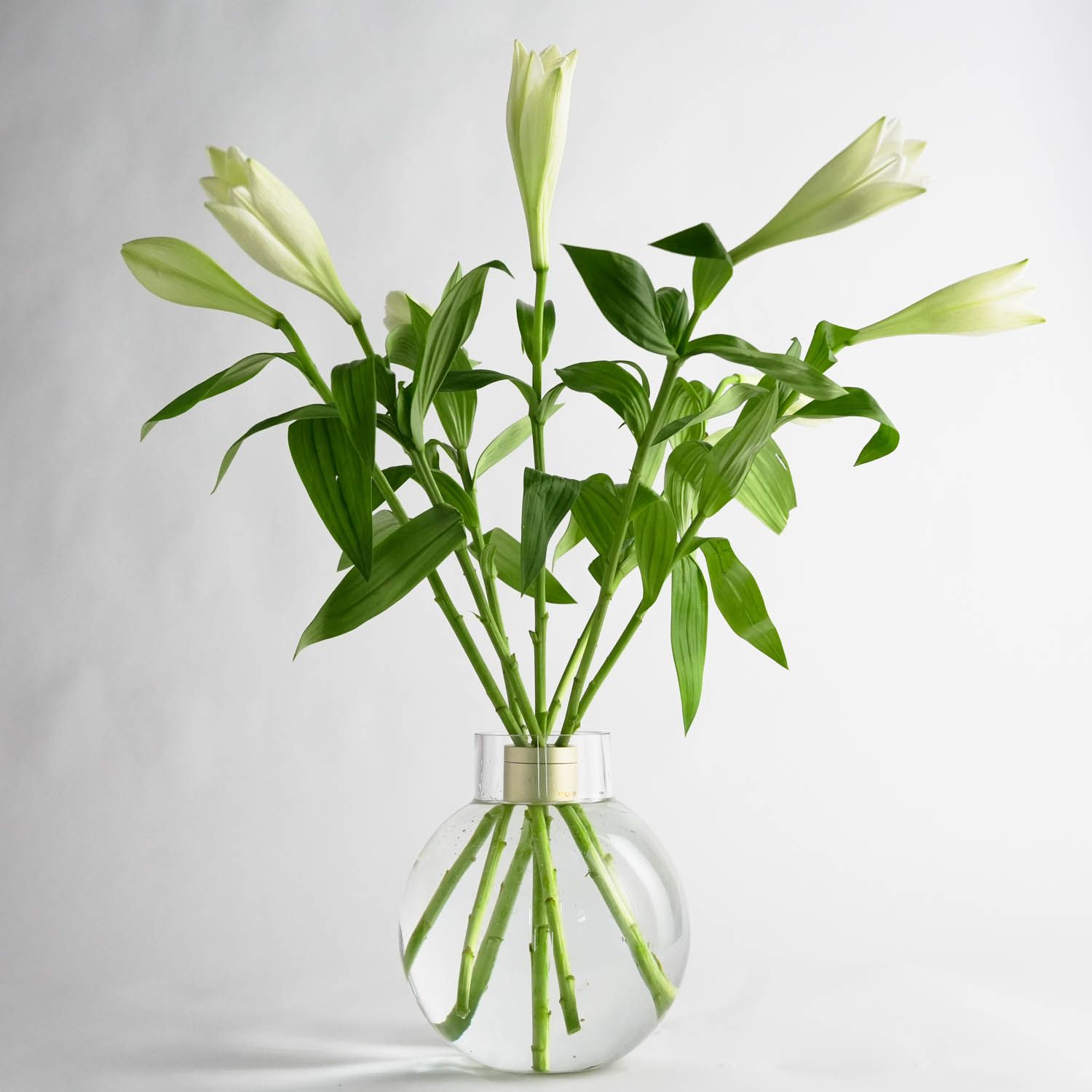 Bubble Vase Glasvas