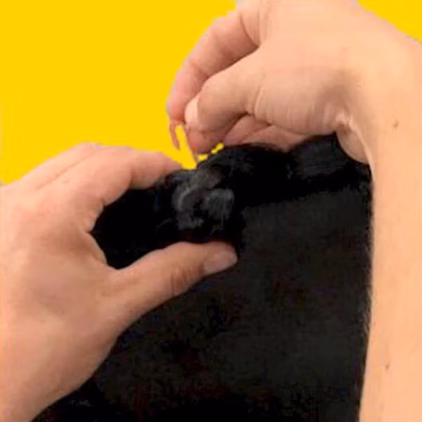 Quick Knot standard 100st