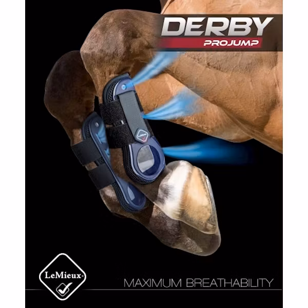 Lemieux Derby Projump Brun