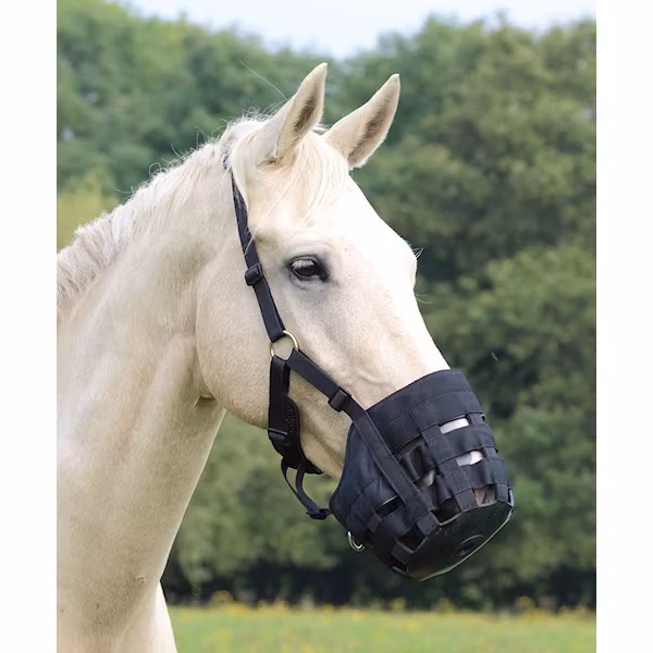Shires betesreduserare