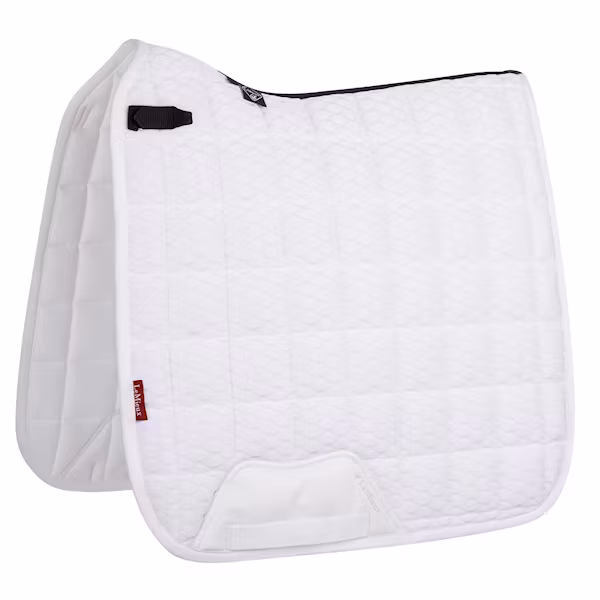 Lemieux Carbon mesh vit dressyr full