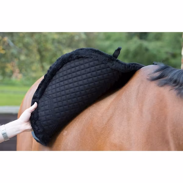 Lemieux Sensitive EuroJump Square navy Large, Full
