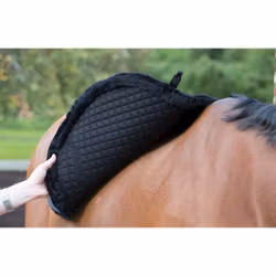 Lemieux Sensitive EuroJump Square navy Large, Full