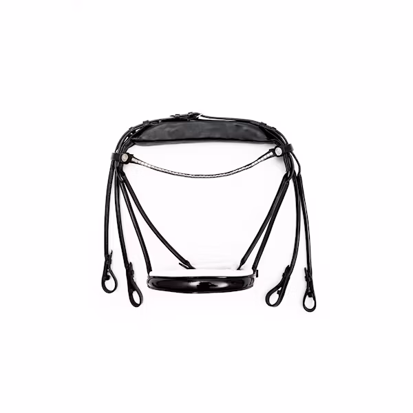 Finesse Kandar bridle Svart/Vit lack